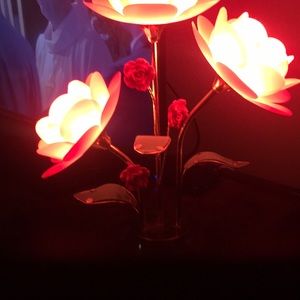 Meet your Posher, Alba